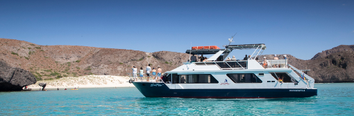 La imagen muestra un barco de dos pisos navegando sobre el mar. En el barco, hay personas disfrutando del paisaje. El paisaje incluye montañas y bancos de arena, todo bajo un cielo claro que se funde con el color del mar.
La imagen muestra de manera panorámica una zona amplia con edificaciones. Se destacan cuatro edificios muy grandes rodeados de vegetación, árboles y albercas, lo que le da una apariencia de zona residencial. A los lados se pueden ver más edificaciones
